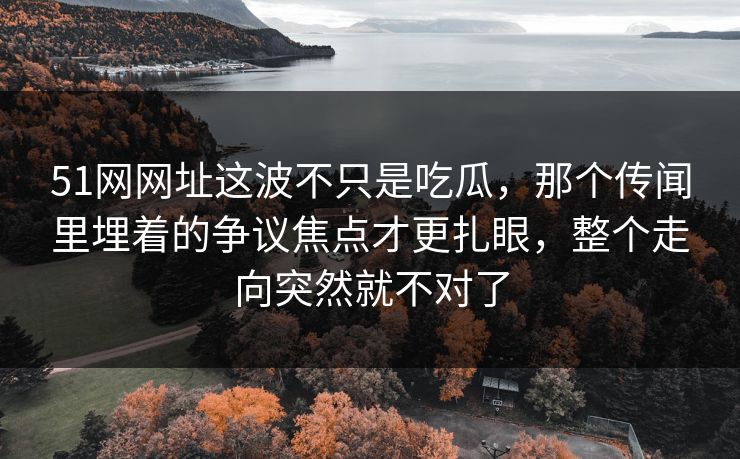 51网网址这波不只是吃瓜，那个传闻里埋着的争议焦点才更扎眼，整个走向突然就不对了
